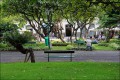 Funchal, park v centru.